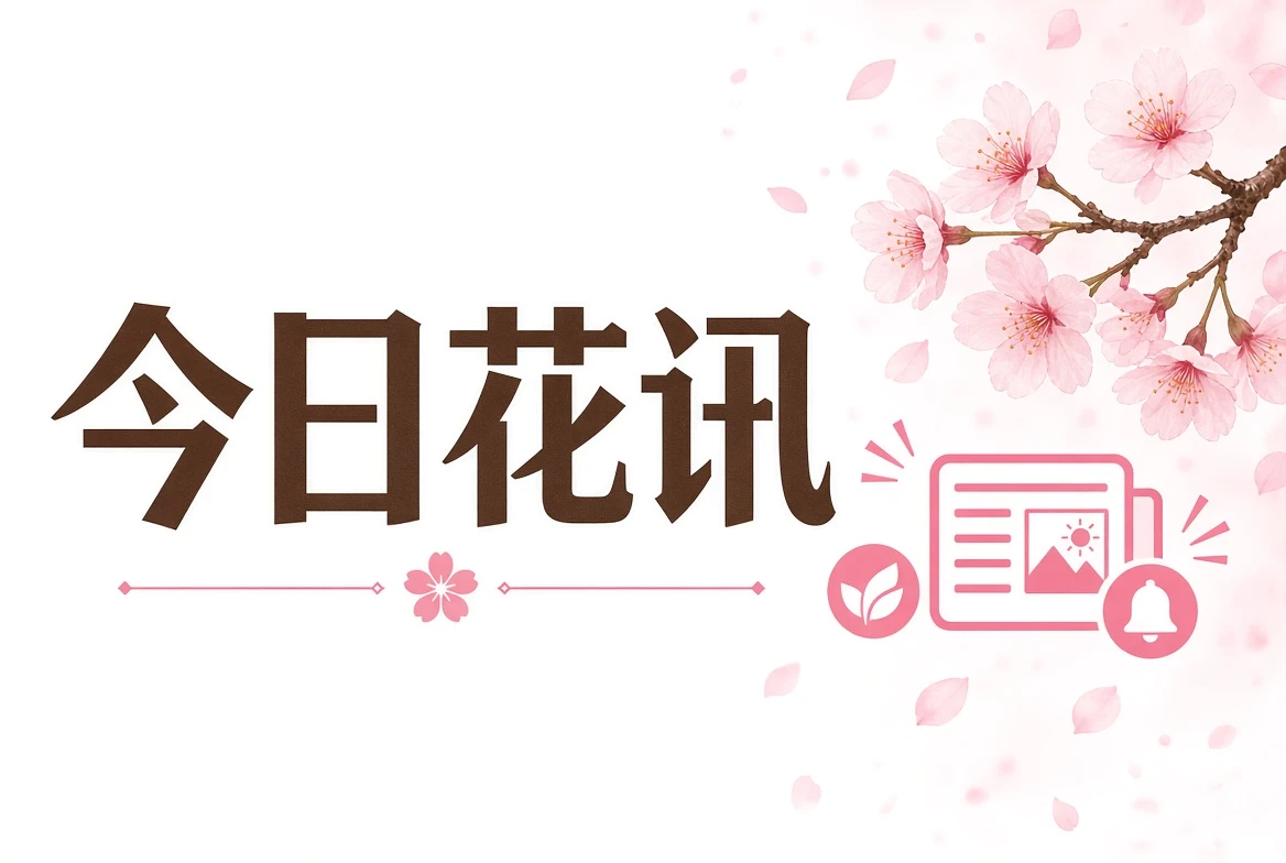 讯页精选